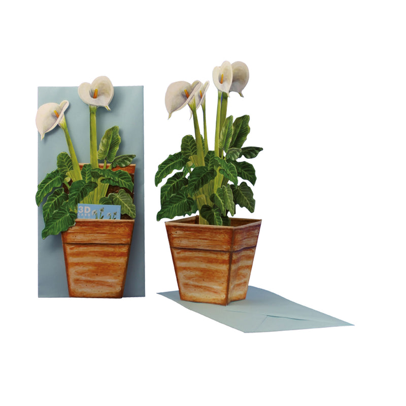 3D-Blumenkarte "Kalla"