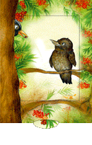 Lebende Karte "Amsel"