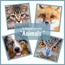 Puzzle Set "Animals"