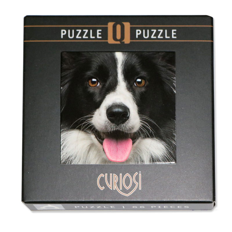 CURIOSI | Frontansicht der Produktverpackung des Puzzle Q "Animal 5" mit süßem Hund als Motiv