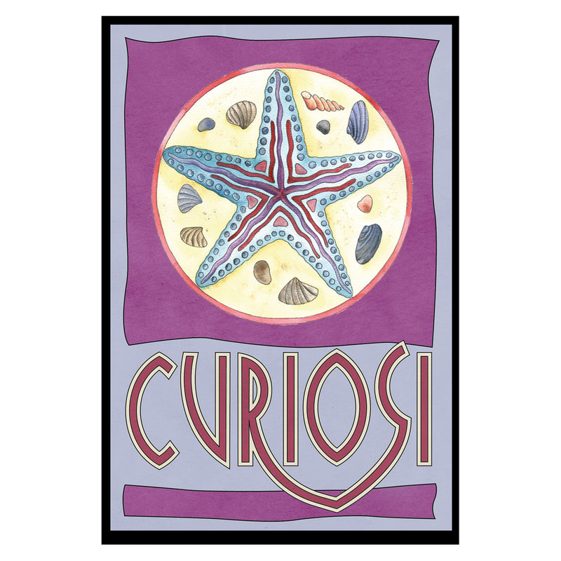 CURIOSI | Frontansicht der Schachtel des Puzzles Picoli "Stern" mit wunderschönem Seestern-Motiv