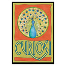 CURIOSI | Frontansicht der Produktverpackung des Puzzle Picoli "Pfau" mit Tiermotiv eines Pfaus