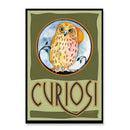 CURIOSI | Frontansicht der Schachtel des Puzzles Picoli "Eule"