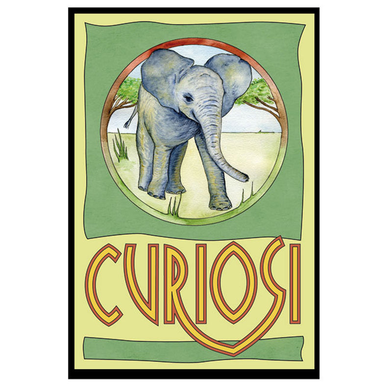 CURIOSI | Frontansicht des Schachtel des Puzzle Picoli "Elefant"