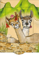 Lebende Karte "Lamas"