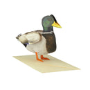3D-Tierkarte "Stockente"