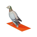 3D-Tierkarte "Brieftaube"