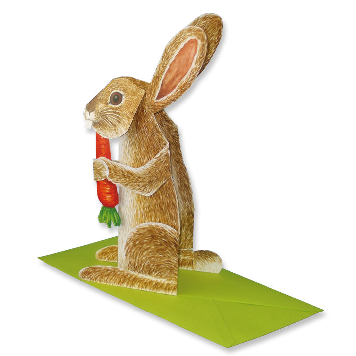 3D-Tierkarte "Hase mit Karotte"