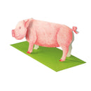 3D-Tierkarte "Schwein"