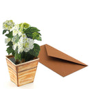 3D-Blumenkarte "Hortensie"