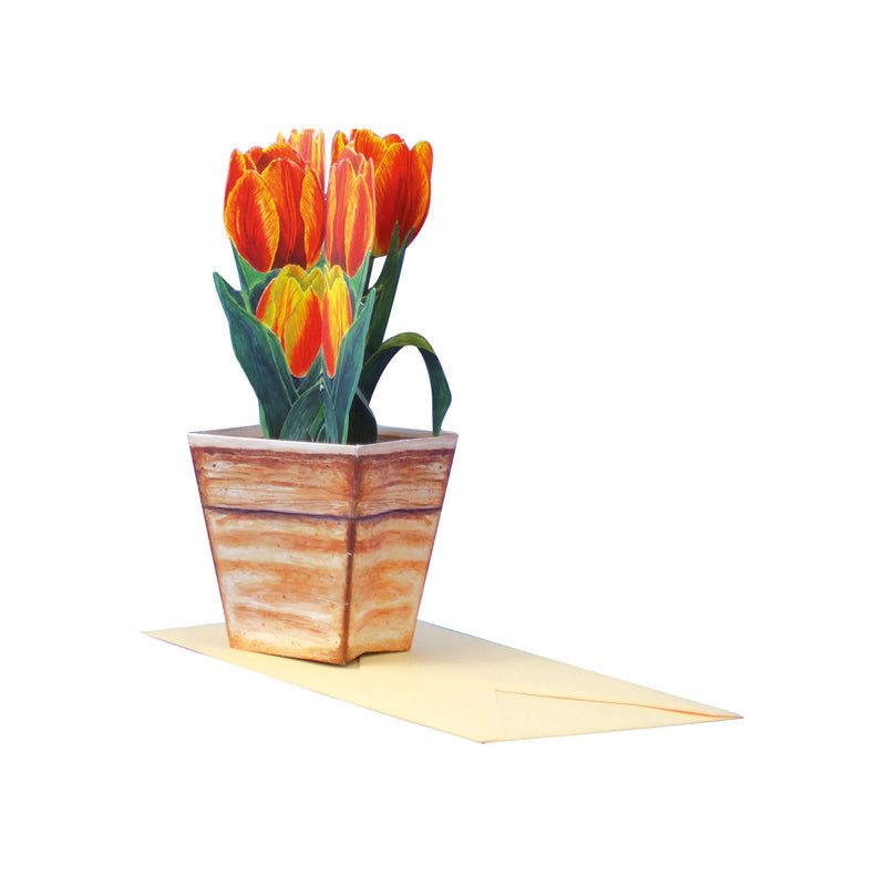 3D-Blumenkarte "Tulpen"