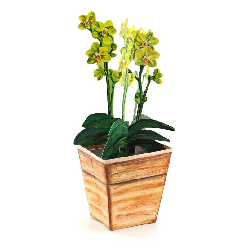 3D-Blumenkarte "Orchidee"