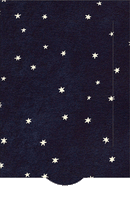 Lebende Karte "Sternschnuppe"